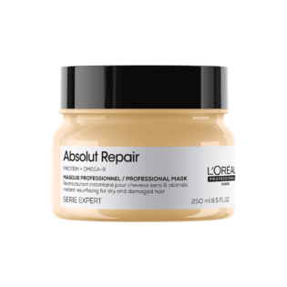 Absolut Repair mask